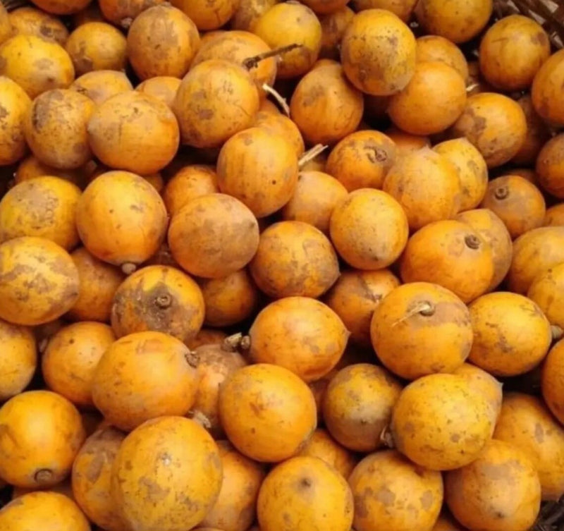 20PCS Sweet Agbalumo/ Sugar Taste Agbalumo/ Sugar Taste Agbalumo